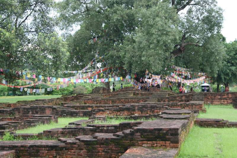 India & Nepal 2011 - 0656